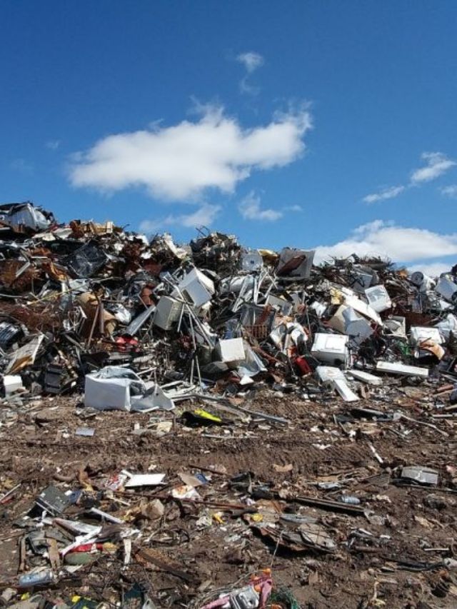 Plastic-Eating Enzymes: The Future of Sustainable Waste Management?