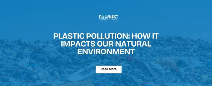 Plastic Pollution: How It Impacts Our Natural Environment