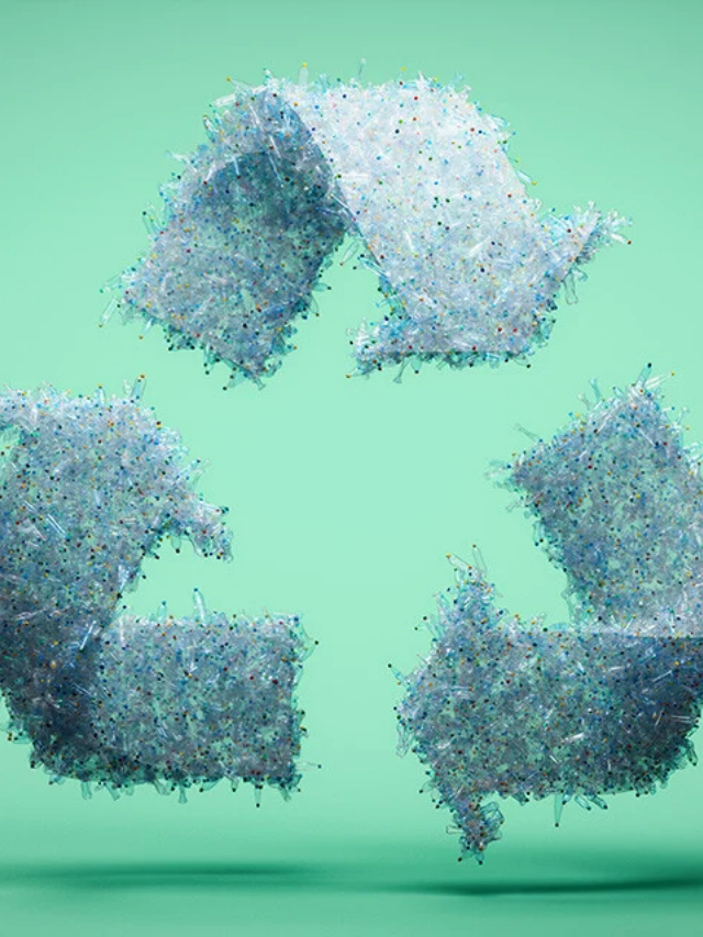 Plastic Recycling Trends: A Look at Current Market Dynamics