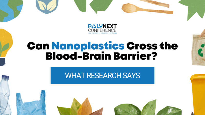 Can Nanoplastics Cross the Blood-Brain Barrier? What Research Says