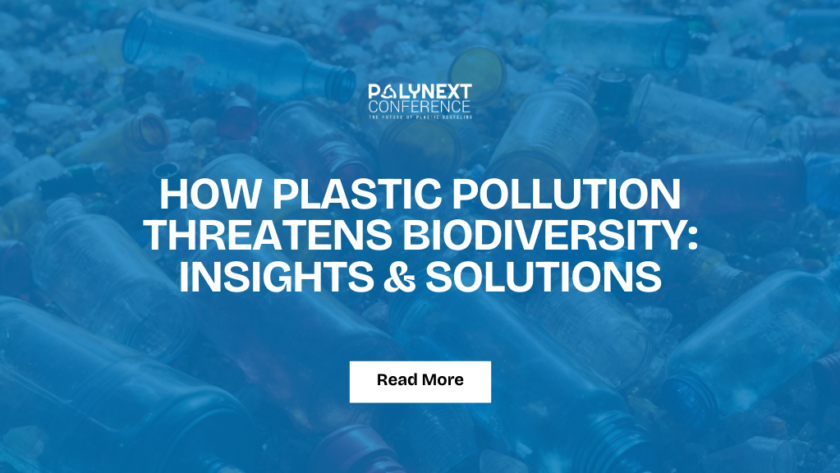 How Plastic Pollution Threatens Biodiversity: Insights & Solutions