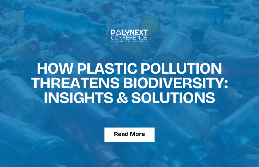 How Plastic Pollution Threatens Biodiversity: Insights & Solutions