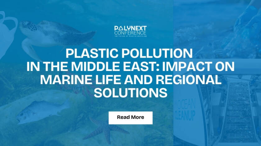 Plastic Pollution in the Middle East: Impact on Marine Life and Regional Solutions
